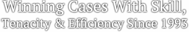 Winning Cases with Skill, Tenacity & Efficiency Since 1993